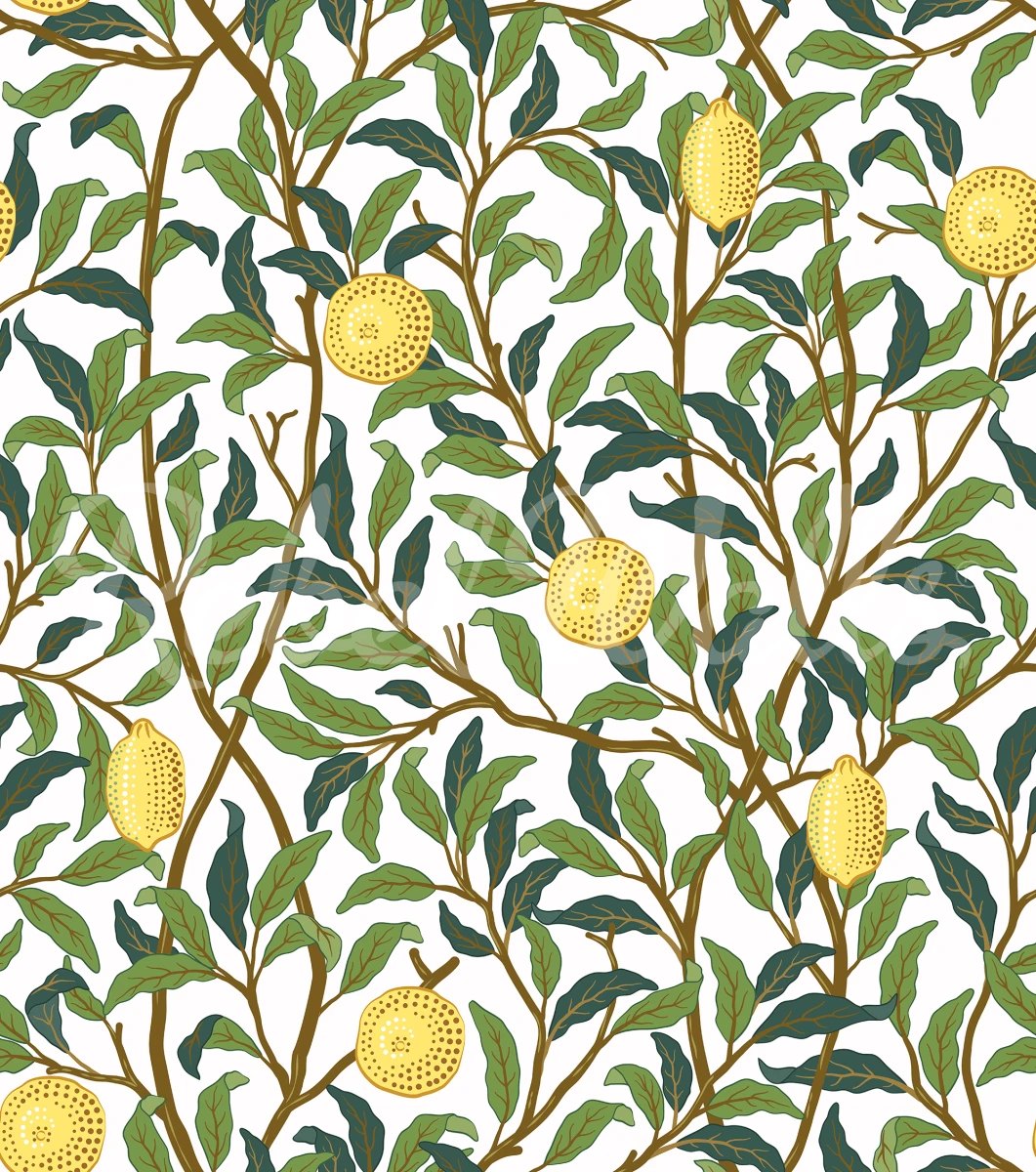 Lemon Garden - Day