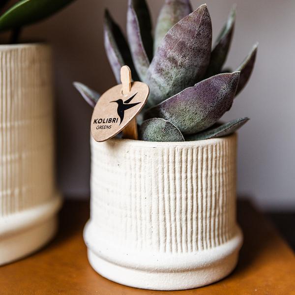 Bali Decorative Pot - Off White - 6cm