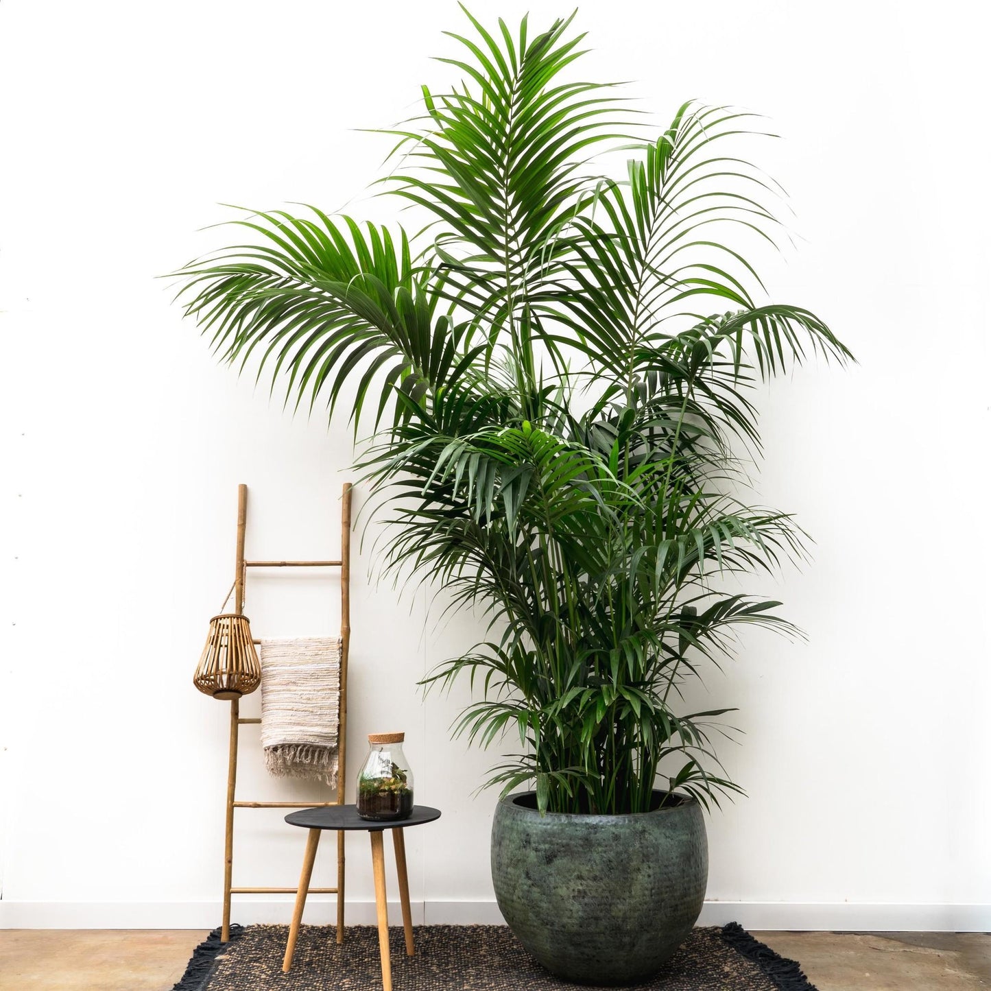Fabien Mystic Green Pot
