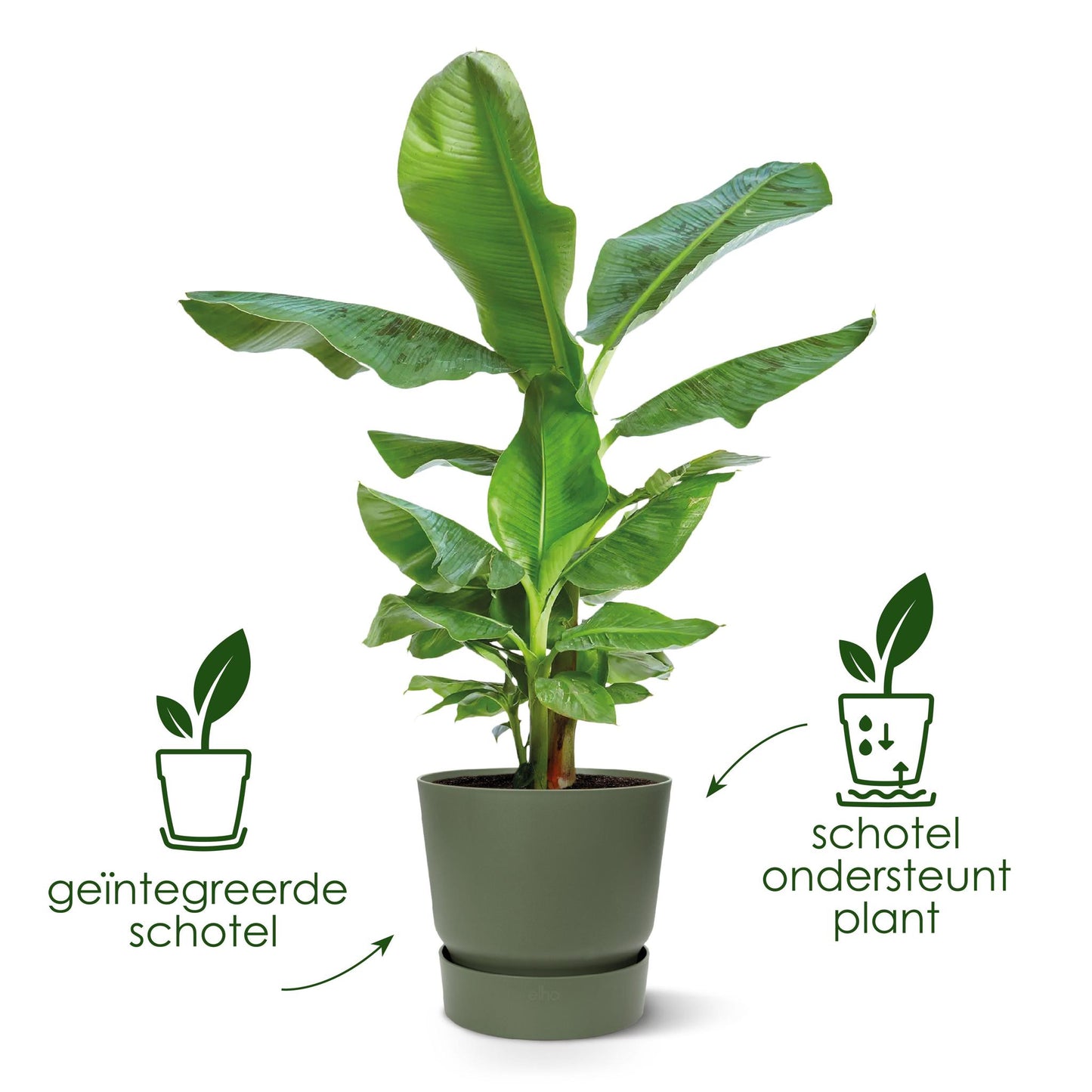 Elho Pot Greenville Rond wit - D30 x H28