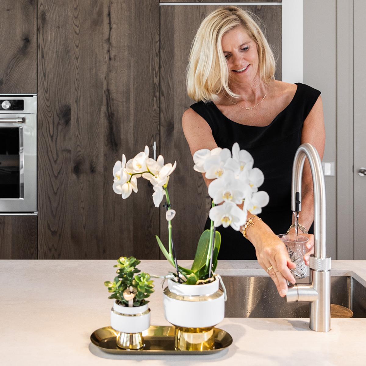 Orchid Set Lush | White Phalaenopsis orchid pot size 9cm and green Succulent 9cm - incl. ceramic pots