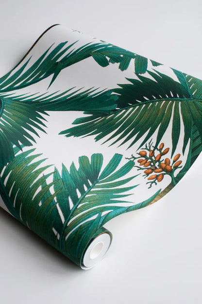 Palm Spring - Pearl