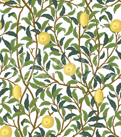 Lemon Garden - Day