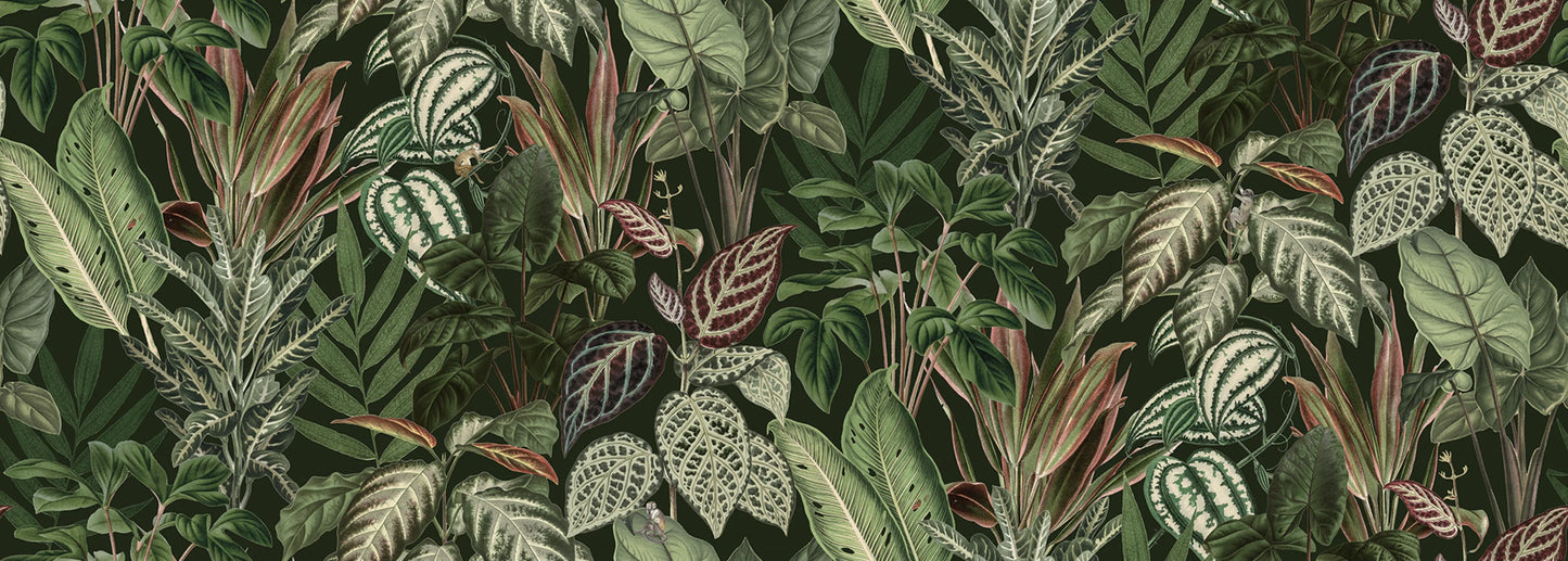 Rebel Walls Wallpaper Samples