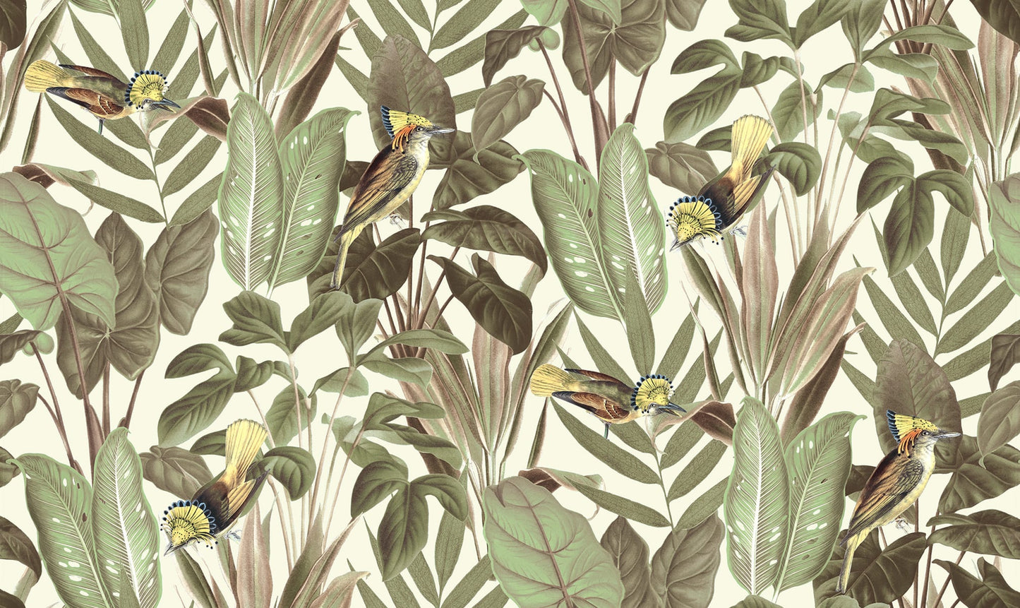 Birds Of Paradise - Bright Dawn