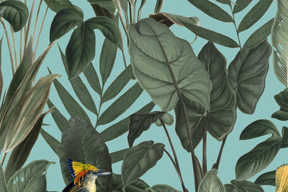 Birds Of Paradise - Lush Green