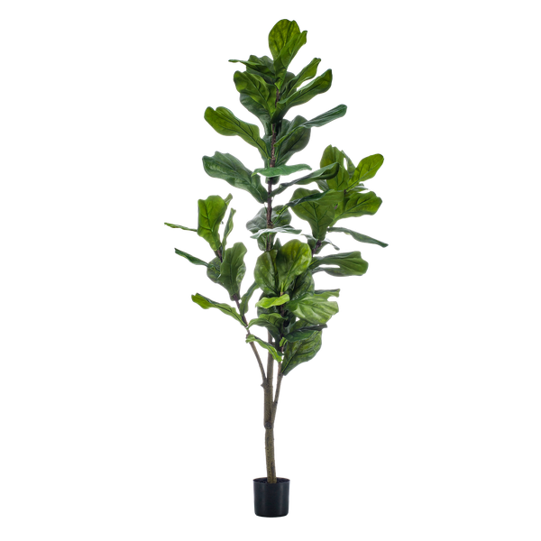 Kunstplant – Ficus Lyrata - 150 cm