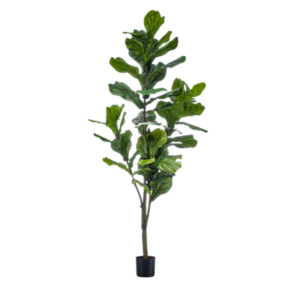 Kunstplant – Ficus Lyrata - 150 cm