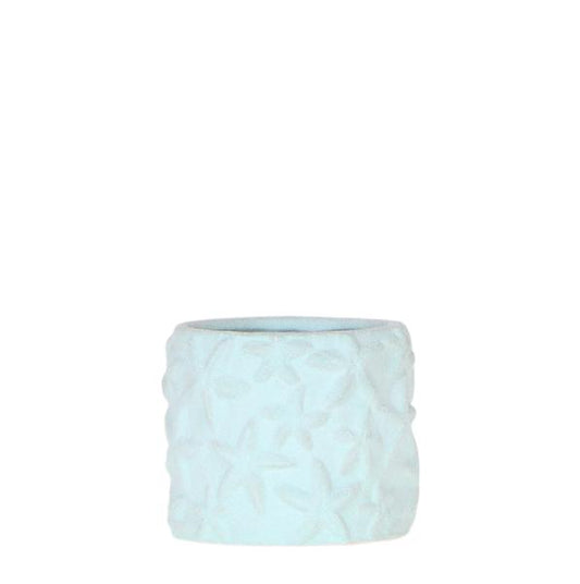 Star Fish Pot - Blue - 6cm