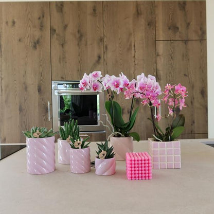 Tall Candy Pot - Pink - 6cm