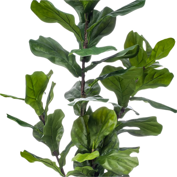 Kunstplant – Ficus Lyrata - 150 cm