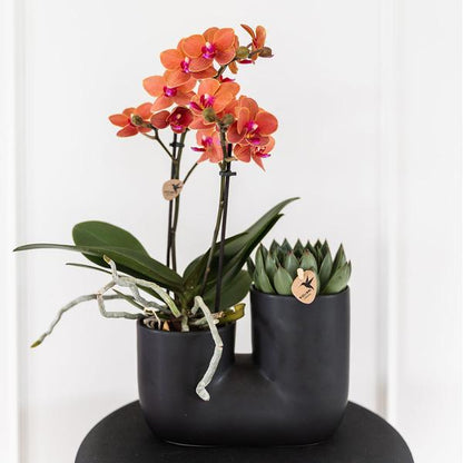 Tube Pot - Black