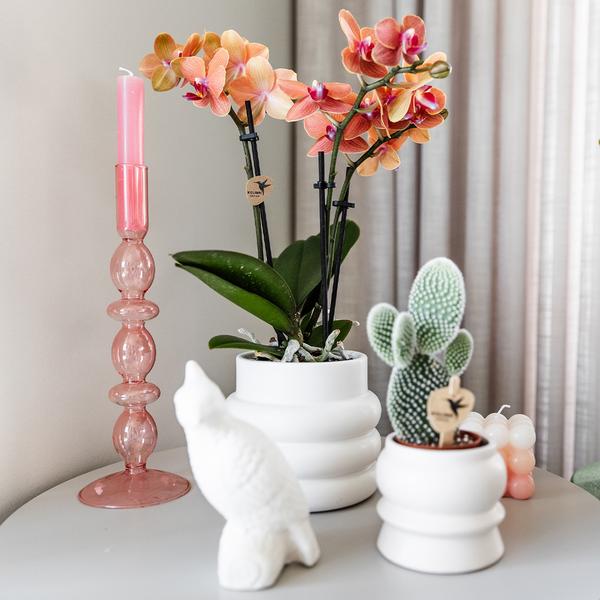 Bubble pot white - 9cm