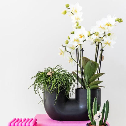 Tube Pot - Black