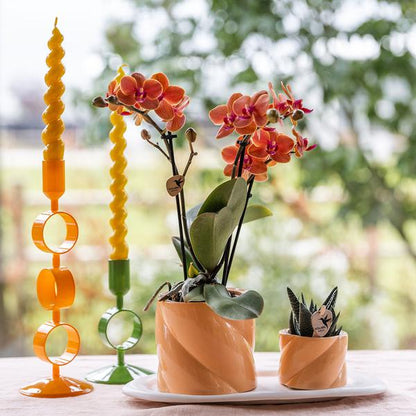 Candy Pot Peach - 9cm