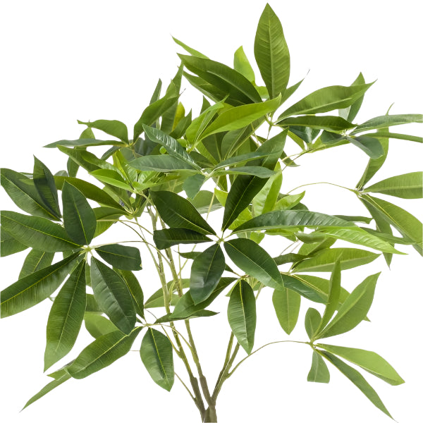 Artificial Plant – Pachira Aquatica - 90 cm