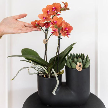Tube Pot - Black