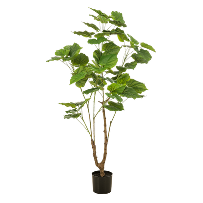 Artificial Plant – Ficus Umbellata - 125 cm