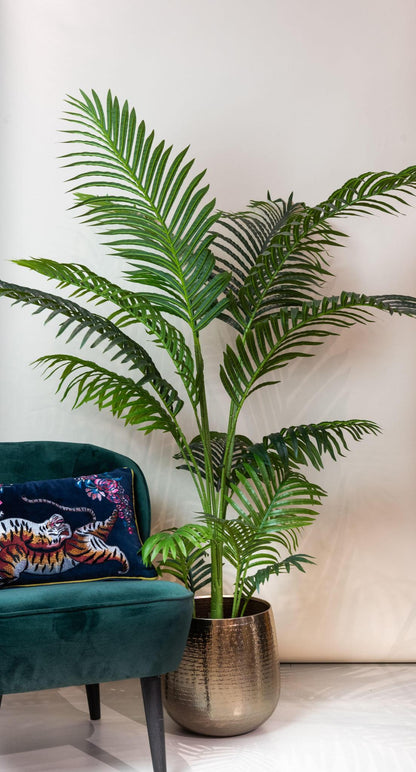 Kunstboom - Howea Forsteriana - 140 cm tot 160 cm