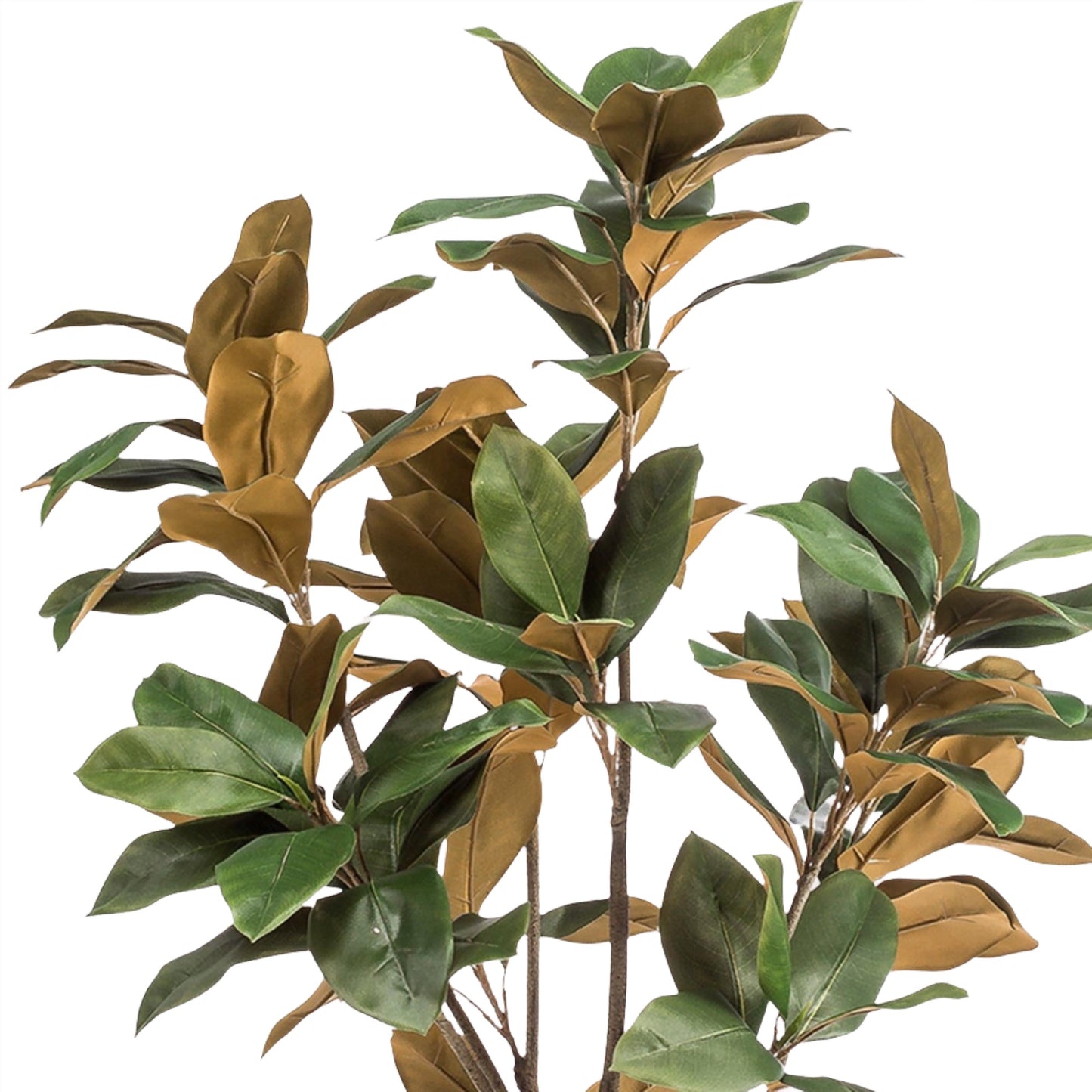Kunst Magnolia Boom Grandiflora - 150 cm