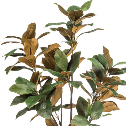Kunst Magnolia Boom Grandiflora - 150 cm