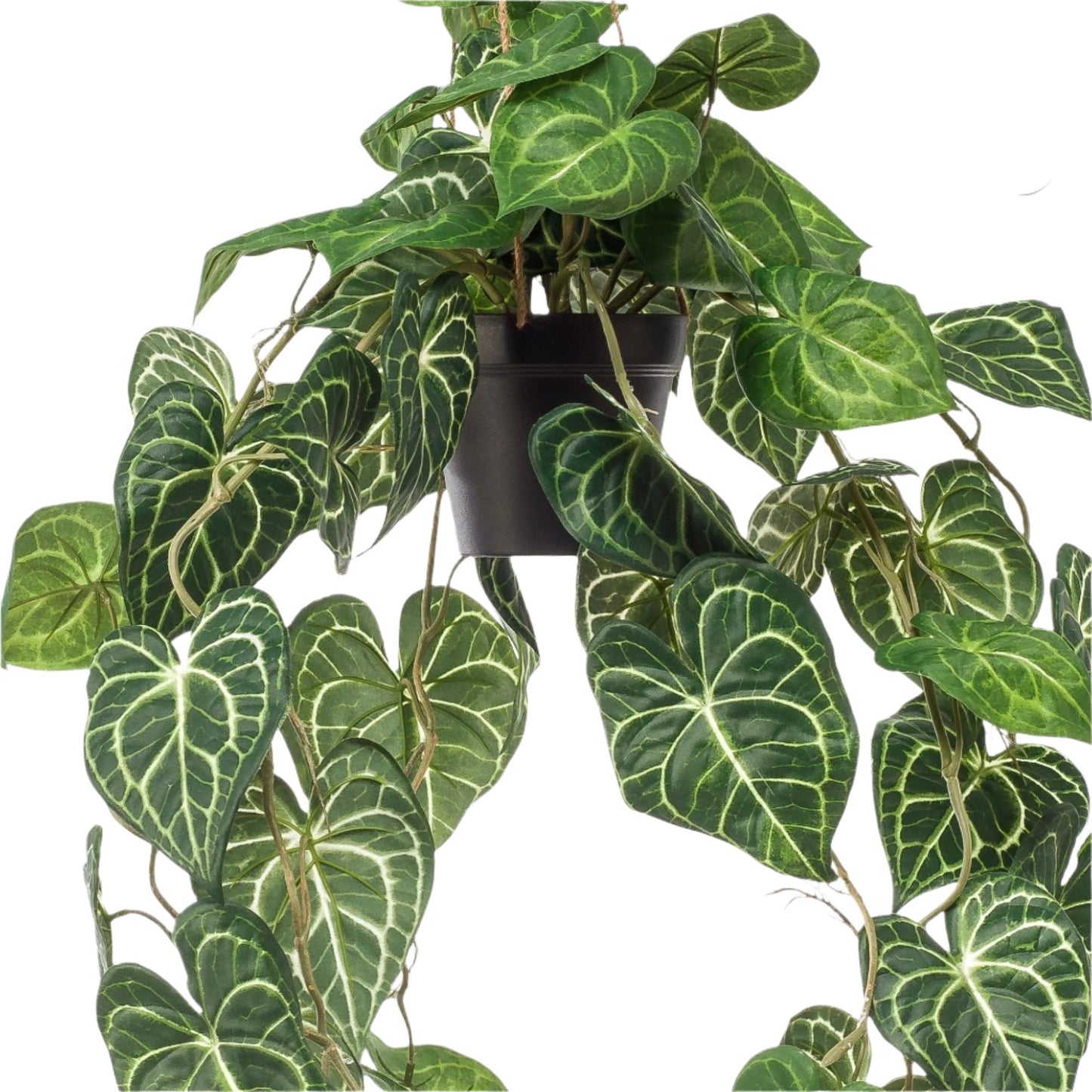 Kunstplant - Anthurium Clarinervium - 80 cm