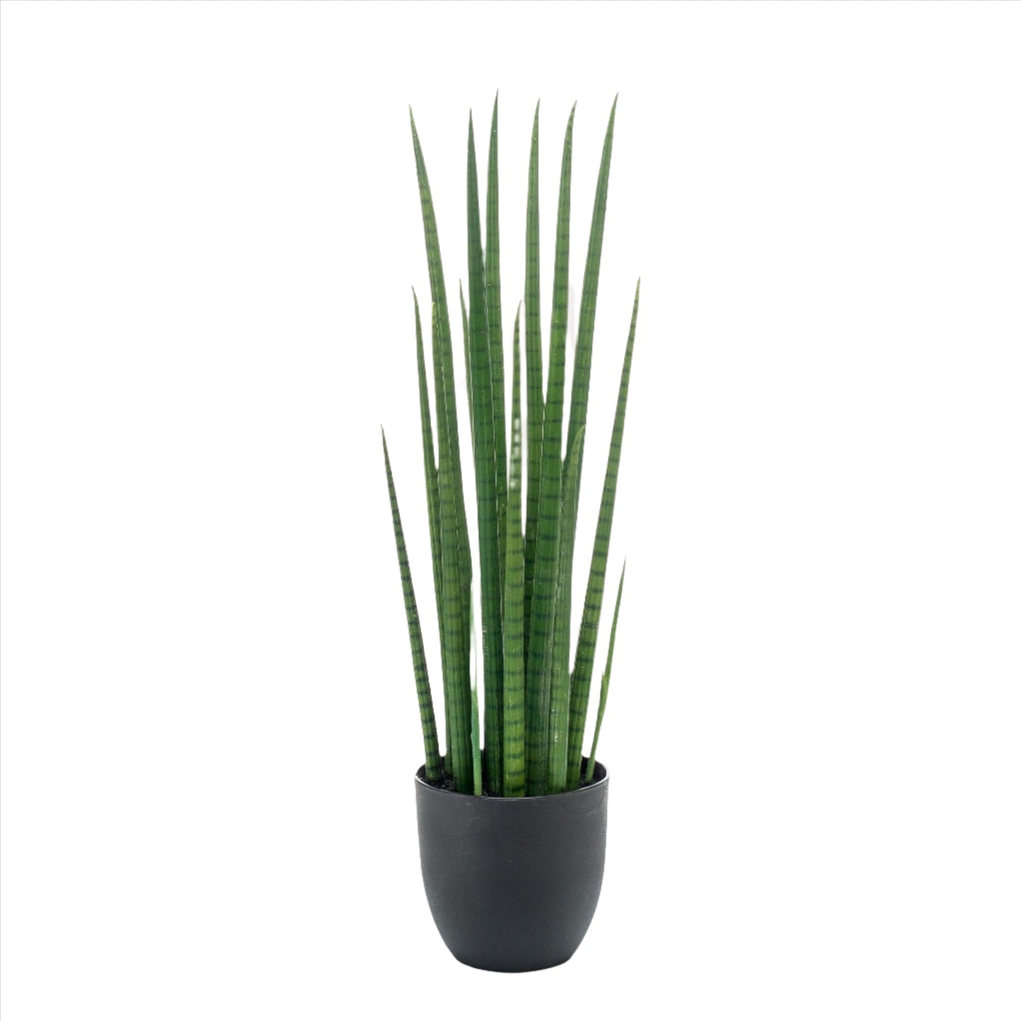 Kunstplant - Sanseveria Cylindrica - Vrouwentong - 70 cm