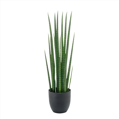 Kunstplant - Sanseveria Cylindrica - Vrouwentong - 70 cm