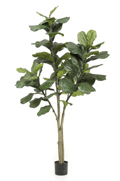 Artificial Plant - Ficus Lyrata - Tobacco plant - 180 cm