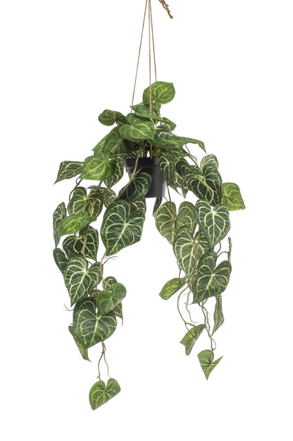Kunstplant - Anthurium Clarinervium - 80 cm