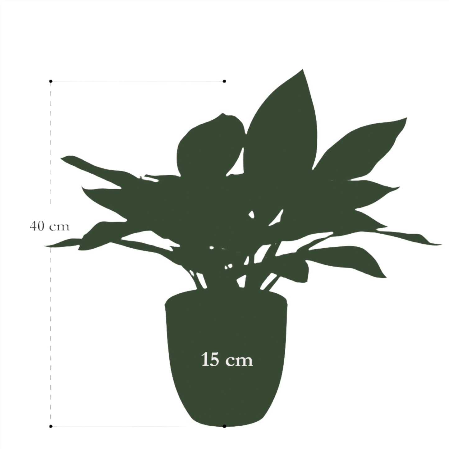 Artifial Plant - Croton Codiaeum - Wonder Bush - 38 cm