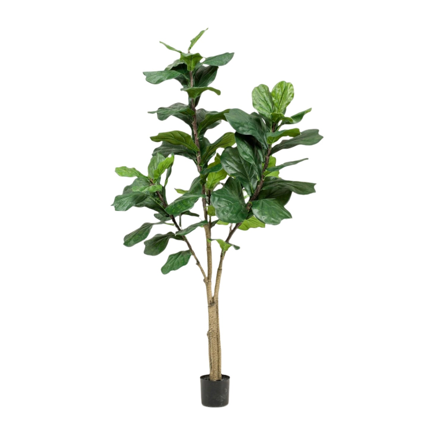Artificial Plant - Ficus Lyrata - Tobacco plant - 180 cm