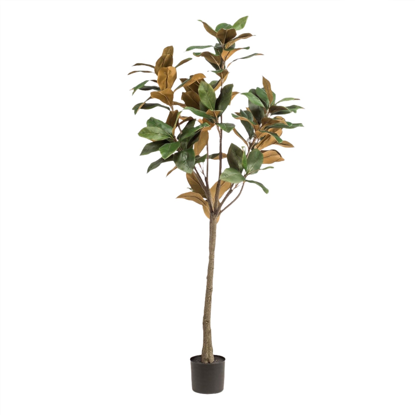 Kunst Magnolia Boom Grandiflora - 150 cm