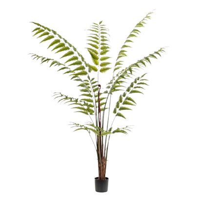 Planta Artificial - Rumohra Adiantiformis - Helecho de Cuero - 180 cm