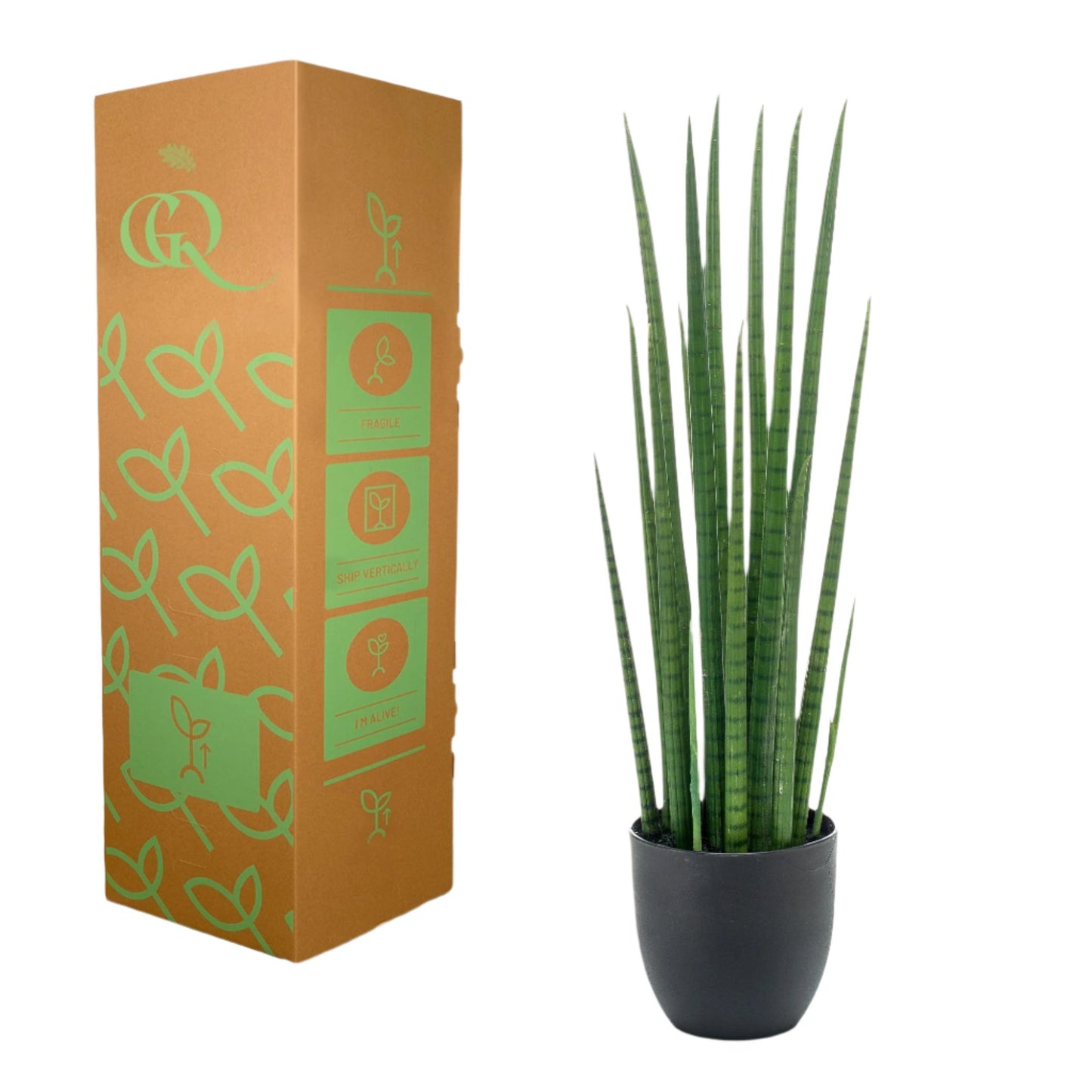 Kunstplant - Sanseveria Cylindrica - Vrouwentong - 70 cm
