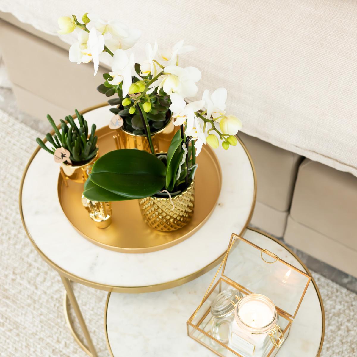Metallic Diamond Golden Ceramic Pot - Size  9cm