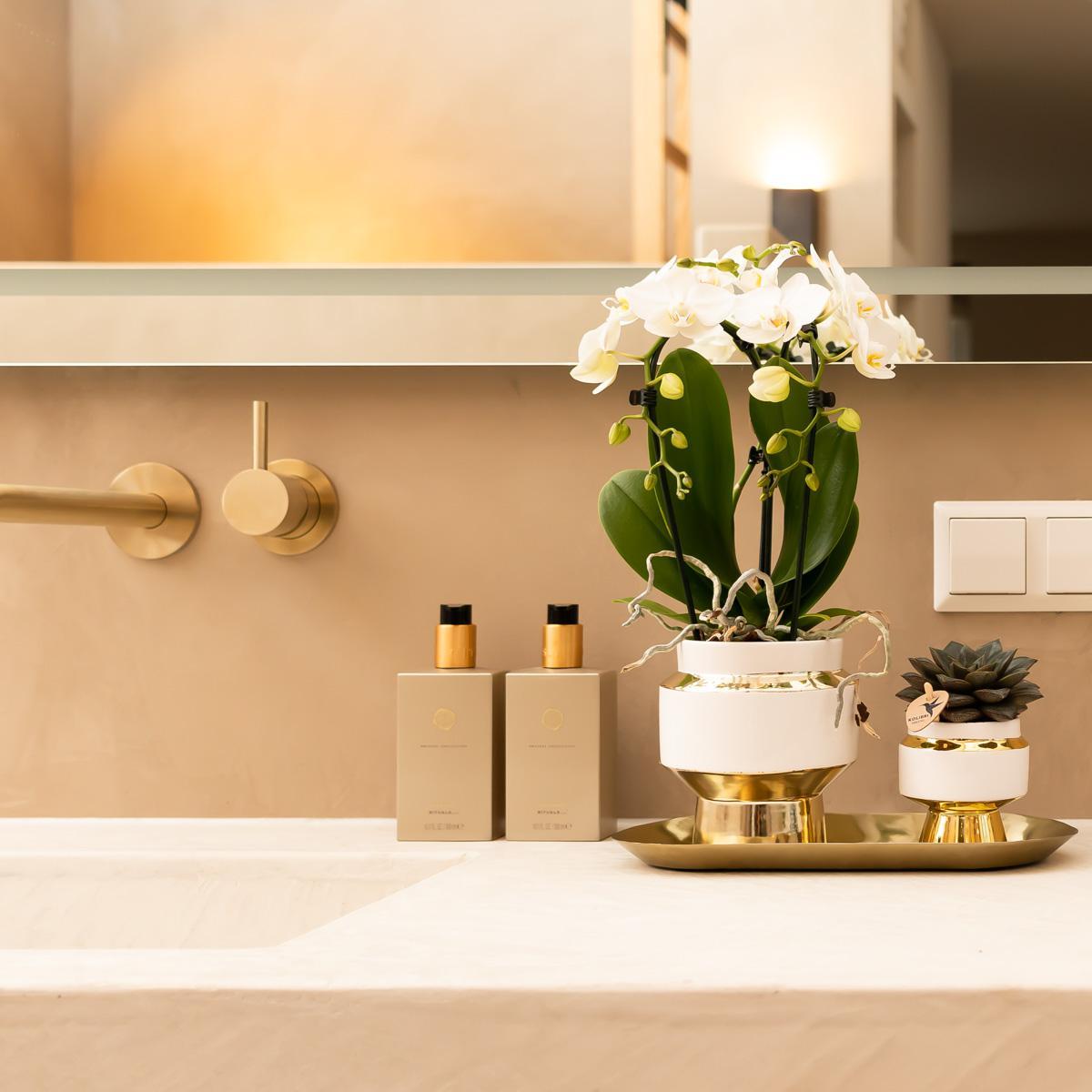 Le Chic White Ceramic Decorative Pot with Gold Details - Size 6cm