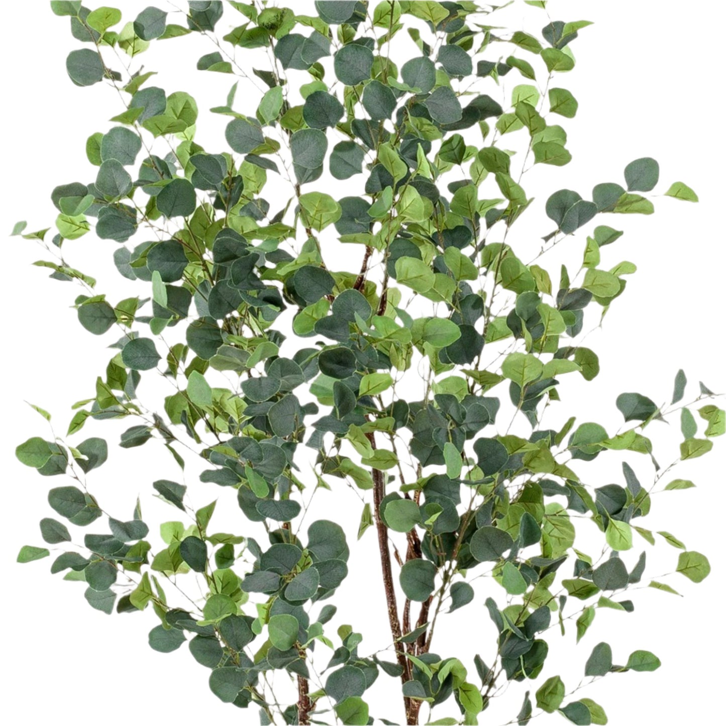 Kunstplanten Eucalyptus - Blauwe gomboom - 180 cm