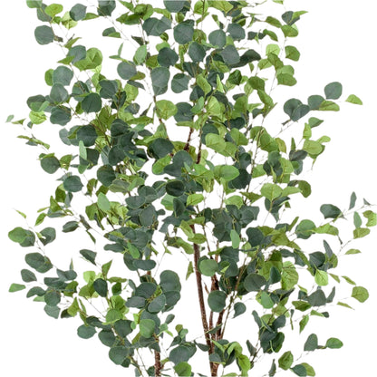 Kunstplanten Eucalyptus - Blauwe gomboom - 180 cm