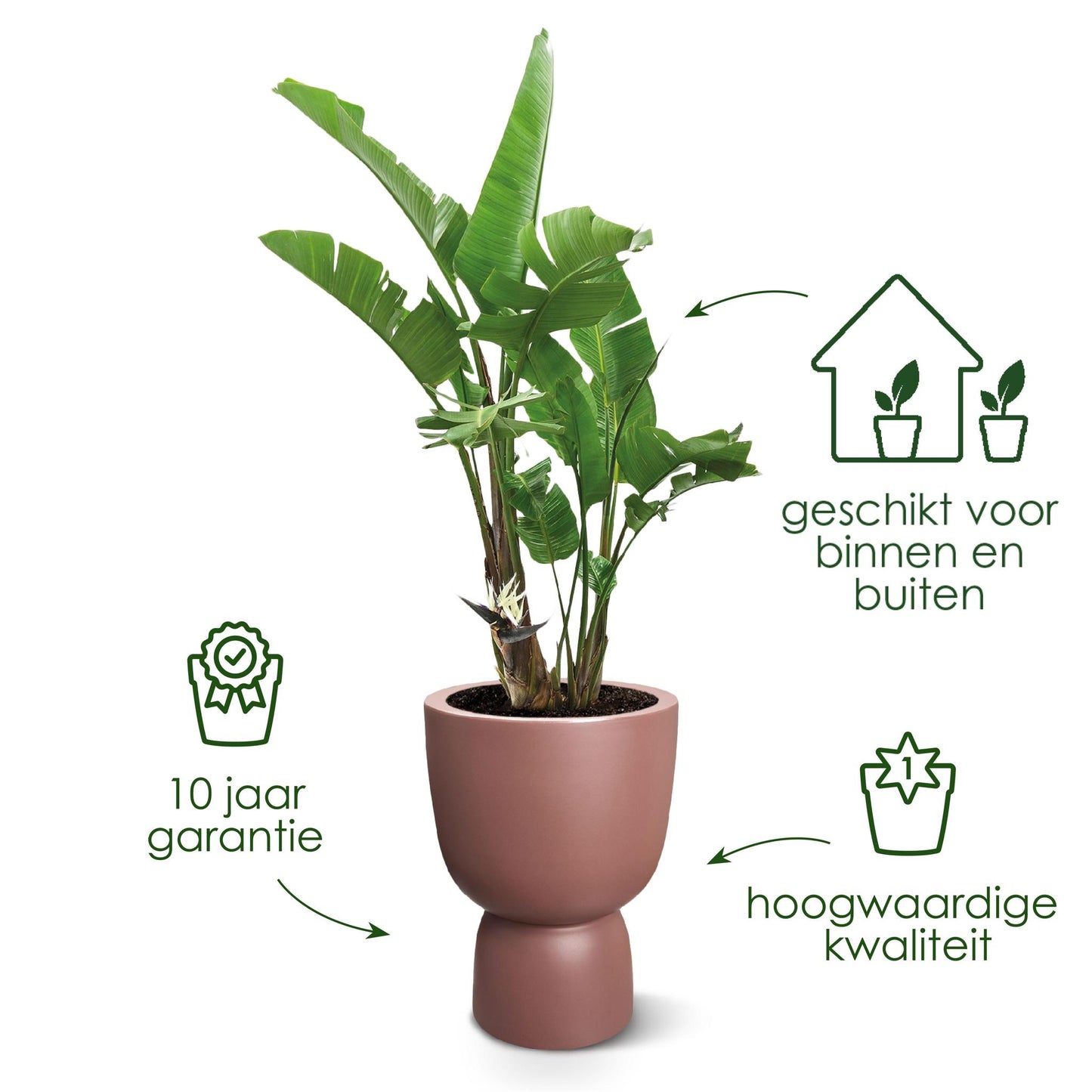 Elho Pot Pure Coupe Rosy Bruin - D41 x H58