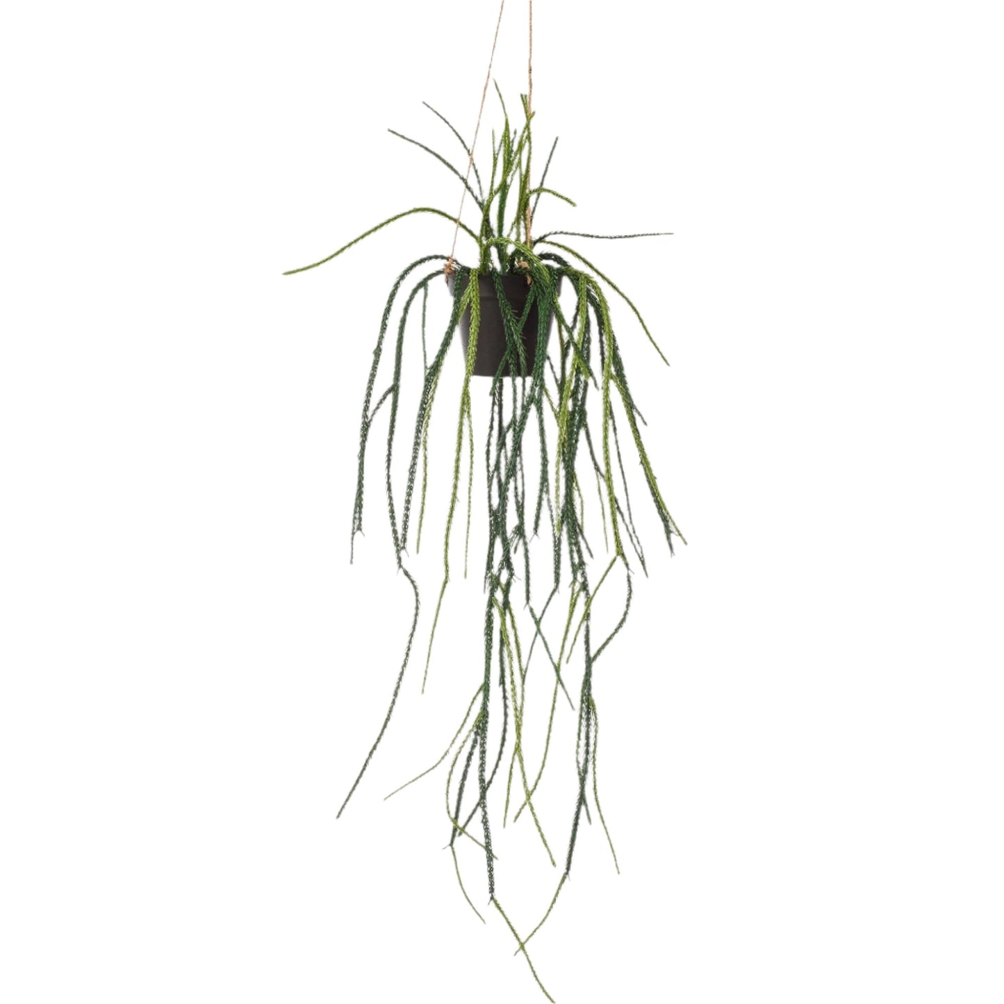 Artificial Plant - Rhypsalis - Coral cactus - 85 cm