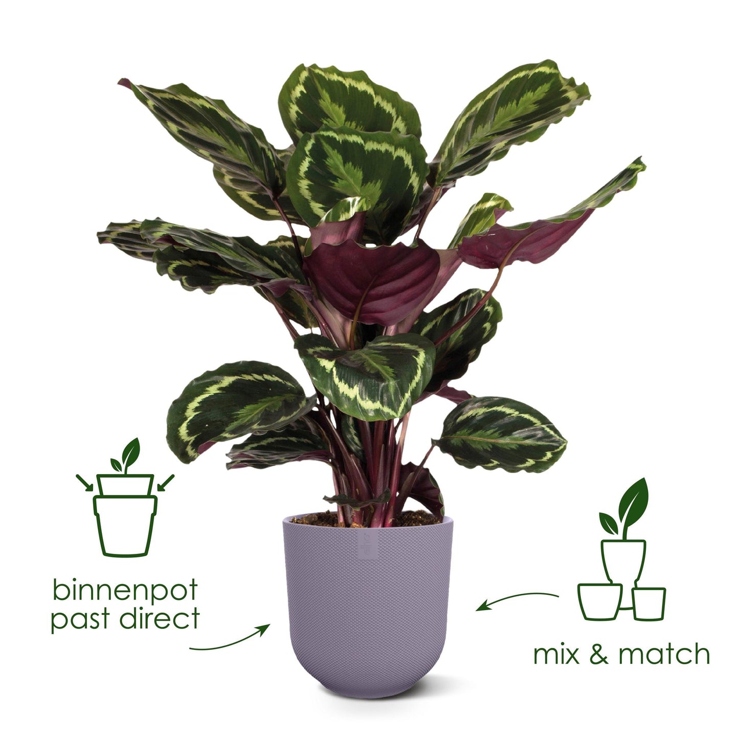 Elho Pot Jazz Round Tuscan Red - D14 x H13