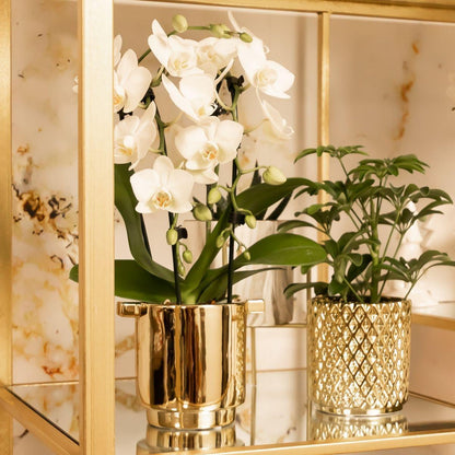 Metallic Diamond Golden Ceramic Pot - Size  9cm