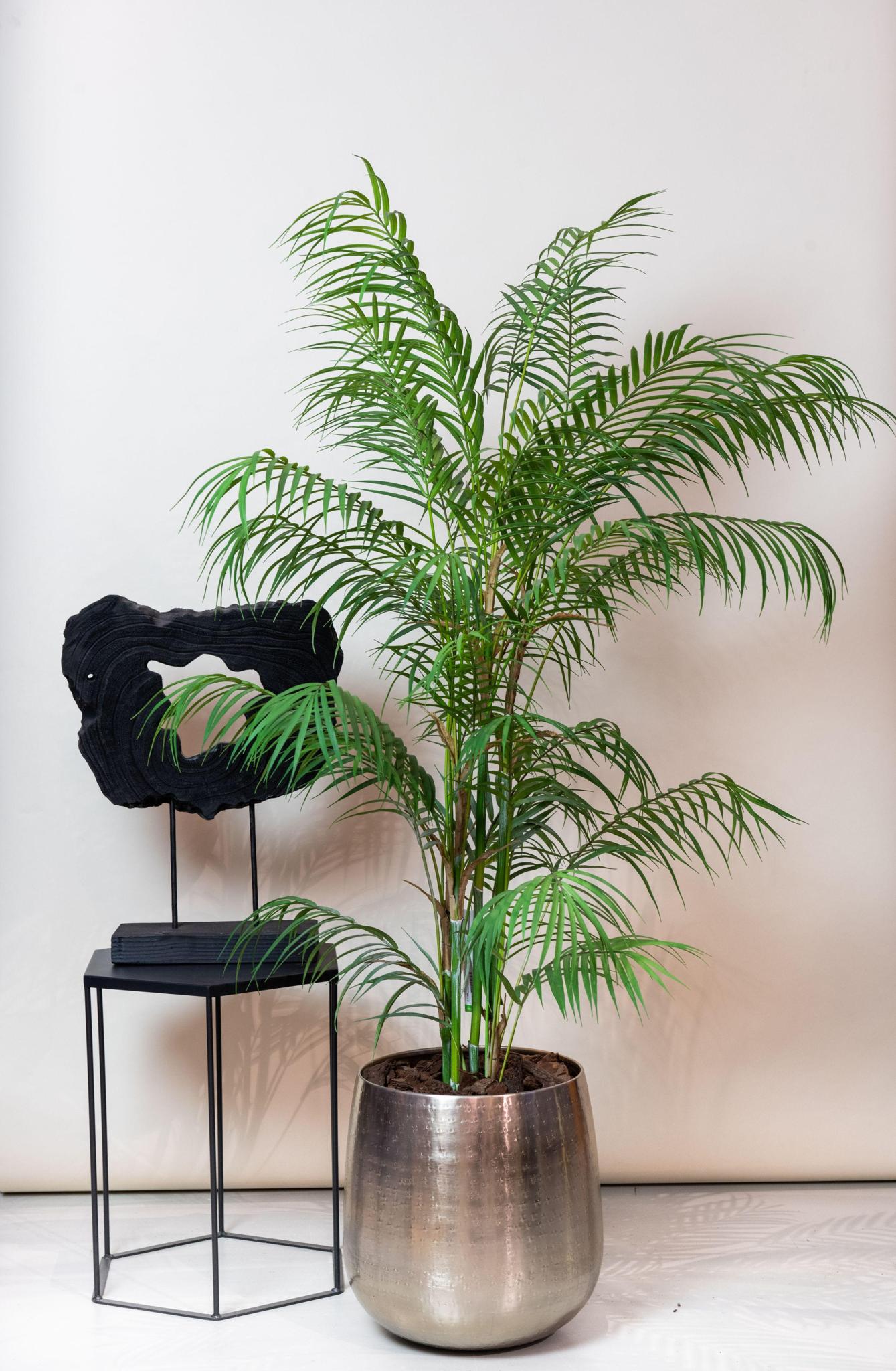 Kunstboom - Chamaedorea Elegans - Palm - 120 cm tot 180 cm