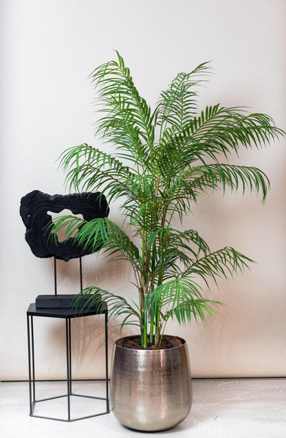 Kunstboom - Chamaedorea Elegans - Palm - 120 cm tot 180 cm