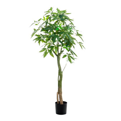 Kunstboom - Pachira Aquatica - Geldboom - 150 cm tot 180 cm