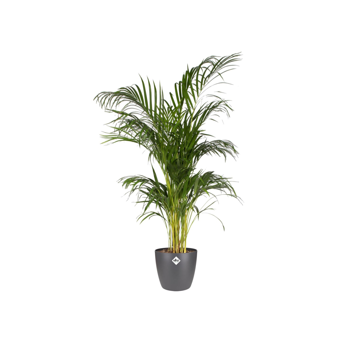 Elho Pot Brussels Round Anthracite D20 x H19