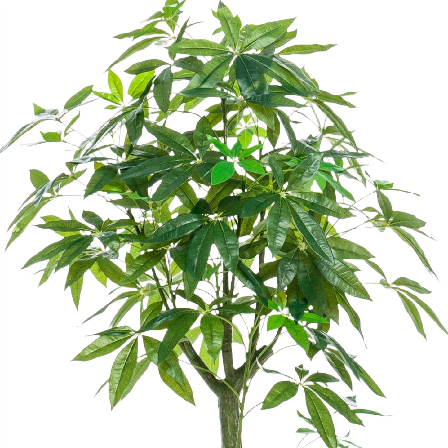 Kunstboom - Pachira Aquatica - Geldboom - 150 cm tot 180 cm