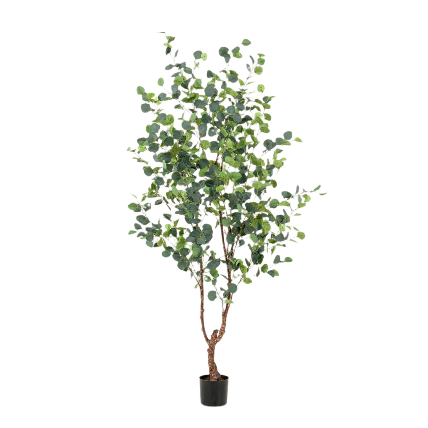 Kunstplanten Eucalyptus - Blauwe gomboom - 180 cm