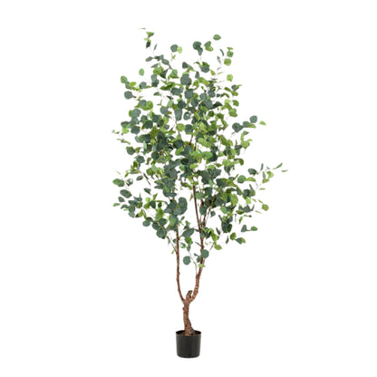 Kunstplanten Eucalyptus - Blauwe gomboom - 180 cm